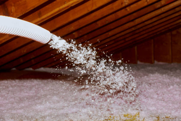Best DIY Insulation Kits and Guidance in Altadena, CA