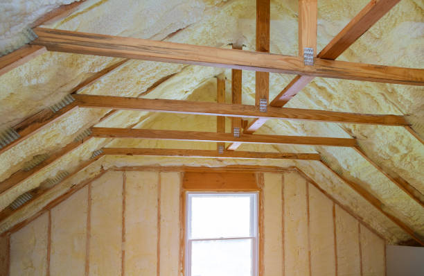 Best Cellulose Insulation in Altadena, CA