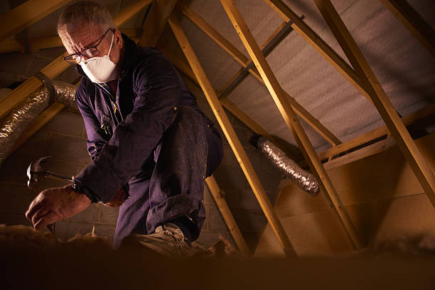Best Blown-in Insulation in Altadena, CA