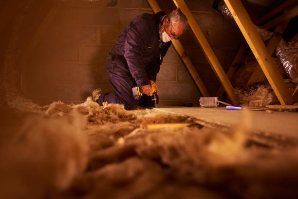 Best Specialized Insulation Services in Altadena, CA